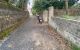 thum-m_hFuymODXPB_1666832258.jpg