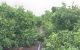thum-m_yMAL8hbwKv_1666860432.jpg