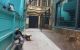 thum-8956688_OfXuepgBzU_1666919755.jpg
