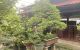 thum-m_Dd4lKzW6qp_1666937167.jpg
