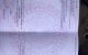 thum-8958855_9AyfUVcmkN_1667027979.jpg