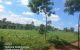 thum-8958855_vq3fcPZ9pL_1667027987.jpg