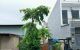 thum-8959594_04SbpvqmFK_1667092351.jpg