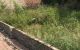 thum-8959795_WDHFcj07BC_1667118863.jpg