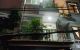 thum-m_XhWUwQVJGb_1667135176.jpg
