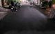 thum-8963156_7G84jPlr5k_1667269996.jpg