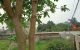 thum-8963252_2oTSeBQEz7_1667272179.jpg