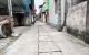 thum-8964760_rPog8RzpLZ_1667357917.jpg