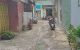 thum-8965093_FLRS8uQ5ir_1667364892.jpg