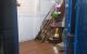 thum-8965308_mvL5VZ9GrD_1667375742.jpg