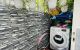 thum-8965392_9MpXx6DTY1_1667377952.jpg