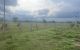 thum-8966446_GZYkxfMODl_1667440676.jpg