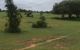 thum-8966681_1yQqRG6DCz_1667445567.jpg