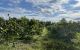 thum-8966681_NUI4EBciDO_1667445582.jpg