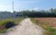 thum-8966824_tM6XTuqhDs_1667448643.jpg