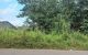thum-8967252_omQnFBvhkE_1667464909.jpg