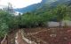 thum-8967255_8lcMjGC5Em_1667465143.jpg