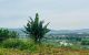 thum-m_sSavHALMbu_1667461851.jpg