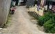 thum-8968655_USqhRcDOu9_1667547838.jpg