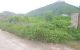 thum-8968772_mjFe4oi5W0_1667550331.jpg