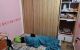 thum-8969003_A3GvgE8WHQ_1667568773.jpg