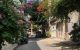 thum-m_wyUWCMxhGL_1667536494.jpg