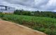thum-8970966_HABkU4hiSa_1667657145.jpg