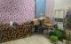thum-8971608_8pFKqMEZgs_1667694247.jpeg