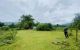 thum-8972397_6IUeVJMKRN_1667749840.jpeg