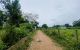 thum-8972397_bumKRsnYqT_1667749825.jpeg
