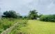 thum-8972397_qlAvFD6yrM_1667749833.jpeg