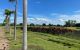 thum-8974438_6MT50neD8J_1667806430.jpg