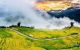 thum-8974640_IDaMVy3Yb9_1667811212.jpg