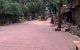 thum-8974824_ApGjSlBUea_1667826980.jpg
