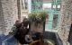 thum-8976208_MOgLsulRSy_1667893960.jpg