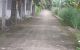 thum-8976478_hxKpmwsc0B_1667917458.jpeg