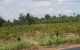 thum-m_ZLh62Y1SGR_1667875661.jpeg