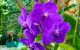 thum-m_iCdpjQh9ew_1667893351.jpg