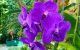 thum-8977670_uMeL9TpEO1_1667962187.jpg
