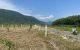 thum-m_iZwuHJT2VB_1667965883.jpg