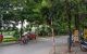 thum-8979522_2zJPSB7MDQ_1668054670.jpg
