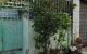 thum-8981226_UdBSGVDQyH_1668136307.jpg