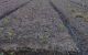 thum-8981757_fOFNMK0GS5_1668153271.jpg