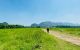 thum-8982101_NiIPZEospd_1668173364.jpeg