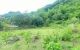 thum-8982140_ZUT32tkOb4_1668179105.jpeg