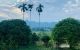 thum-8982167_CUzEgoyBrS_1668183483.jpeg