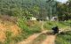 thum-m_maQ7lHe6ud_1668155263.jpg