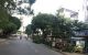 thum-m_uAtClxLe05_1668152185.jpg