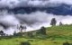 thum-m_xgzOfcFn75_1668157019.png