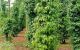 thum-8983253_G3OB0tdAiS_1668261796.jpg
